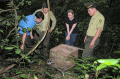 Cuc Phuong National Park has released common palm civet into jungle